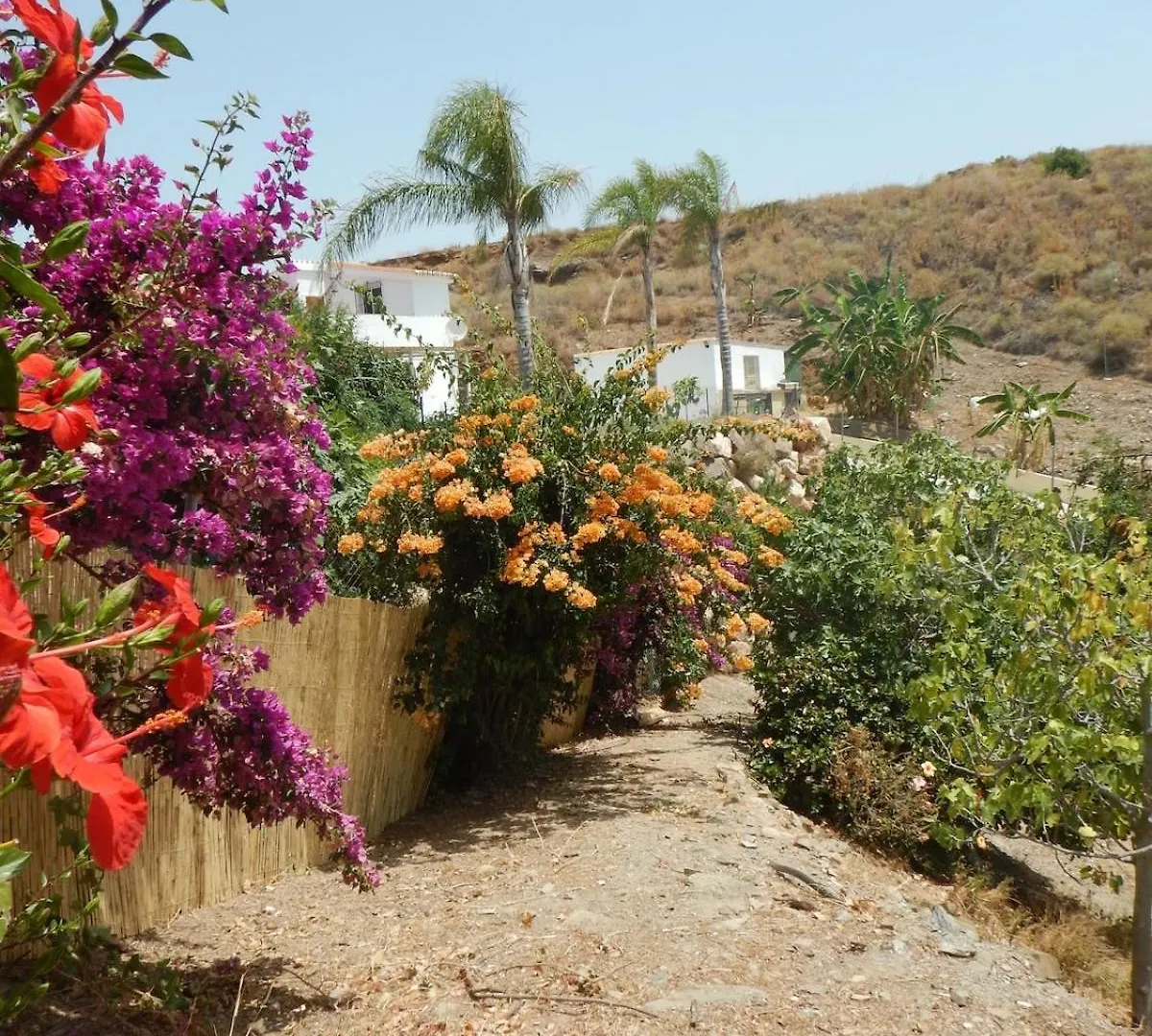 Finca La Sonrisa - Lovely House With Pool And Sea View Benajarafe